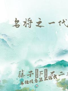 名将之一代天骄