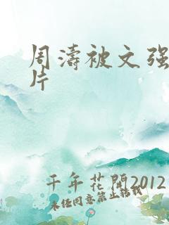 周涛被文强睡图片