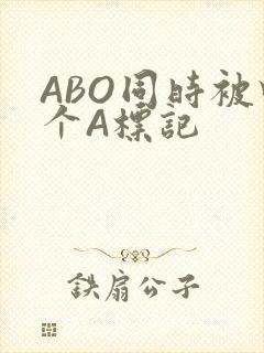 ABO同时被四个A标记