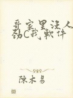 哥家里没人使点劲C我软件