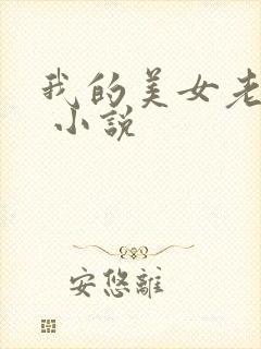 我的美女老婆们 小说