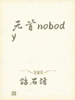 元首nobody