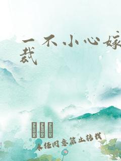 一不小心嫁给总裁