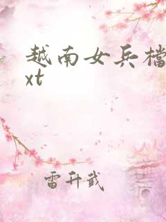 越南女兵档案txt