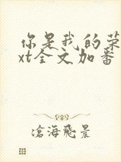 你是我的荣耀txt全文加番外