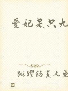 爱妃是只九尾猫