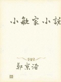 小敏家小说