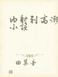 内射到高潮的H小说