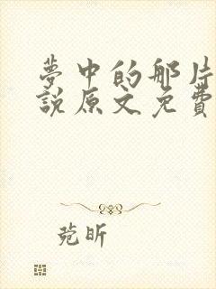 梦中的那片海小说原文免费阅读