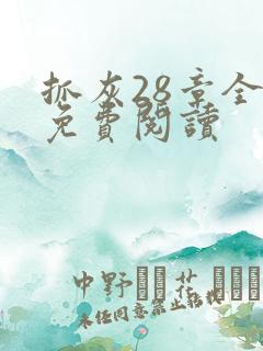 抓灰28章全部免费阅读