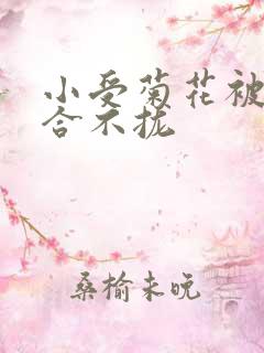 小受菊花被双龙合不拢