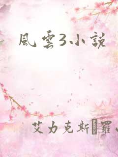风云3小说