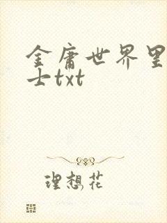 金庸世界里的道士txt