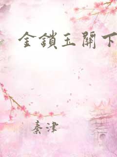 金锁玉关下载