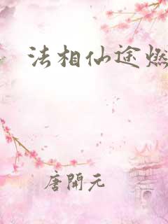 法相仙途燃文