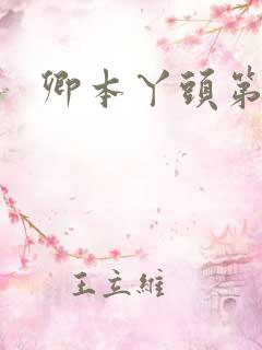 卿本丫头第二部