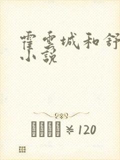 霍云城和舒情的小说