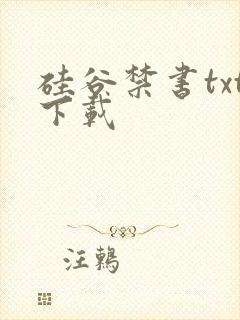 硅谷禁书txt下载