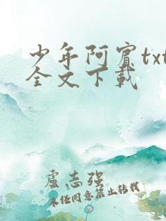少年阿宾txt全文下载