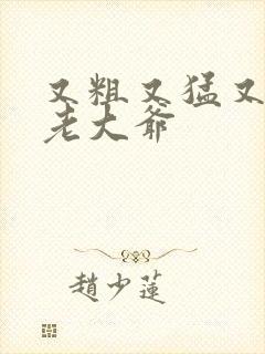 又粗又猛又大爽老大爷