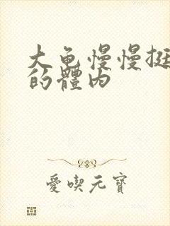 大龟慢慢挺进我的体内