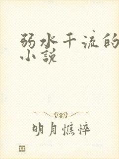 弱水千流的全部小说