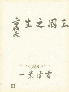 重生之国王的微笑