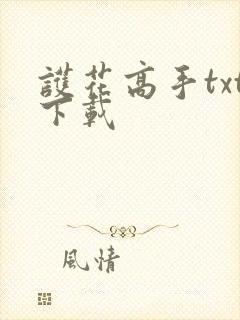 护花高手txt下载