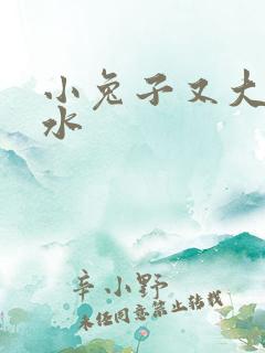 小兔子又大又多水