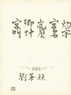 宫卿岚宫灼小说叫什么名字