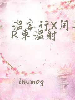 温客行X周子舒R车温射