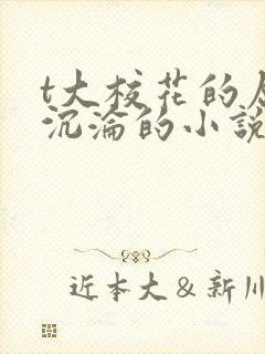 t大校花的屈辱沉沦的小说