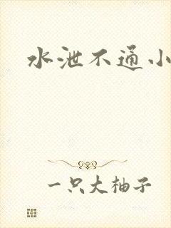 水泄不通小说
