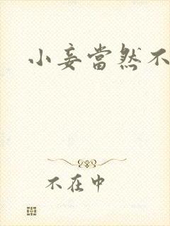 小妾当然不如妻