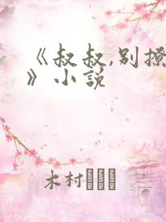 《叔叔,别撩我》小说