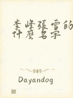 李峰张雪的书叫什么名字