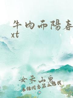 牛肉面阳春面txt