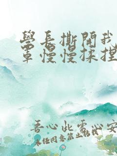 学长撕开我的乳罩慢慢揉捏小说