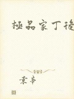 极品家丁后传