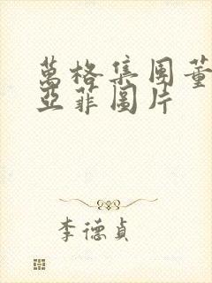 万格集团董事李亚菲图片