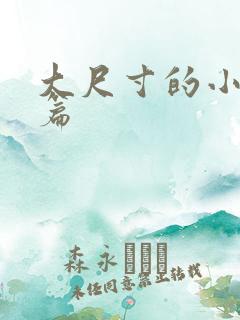 大尺寸的小说短篇