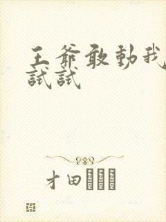 王爷敢动我妈咪试试