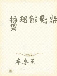 插翅难飞柴米油盐