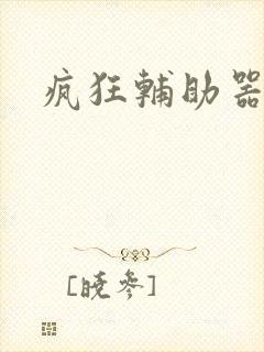 疯狂辅助器