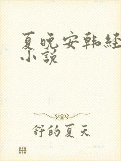 夏晚安韩经年的小说
