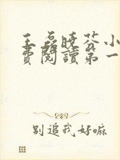 王磊晓芬小说免费阅读第一章