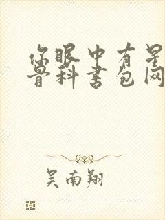 你眼中有星辰h骨科书包网