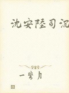 沈安陆司沉小说