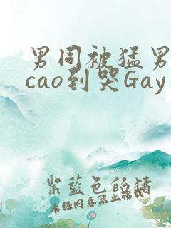 男同被猛男房东cao到哭Gay