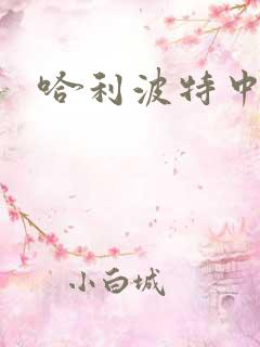 哈利波特中文版